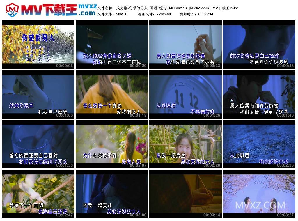 成克刚-伤感的男人_国语_流行_MD302113